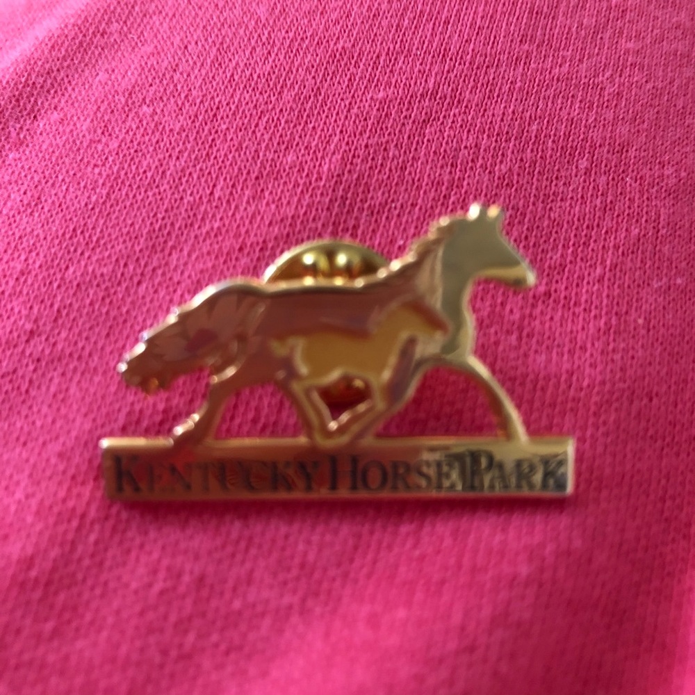 NWOT-Kentucky Horse Park Gold Tone Brooch